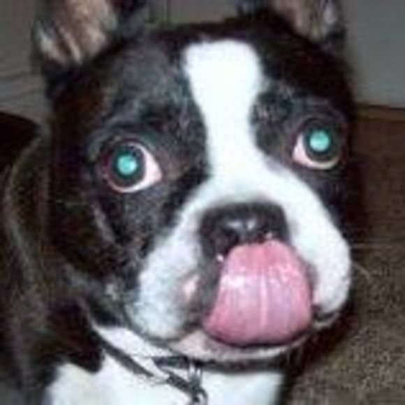 Meet your Posher, Michelle - Picture 1 of 1